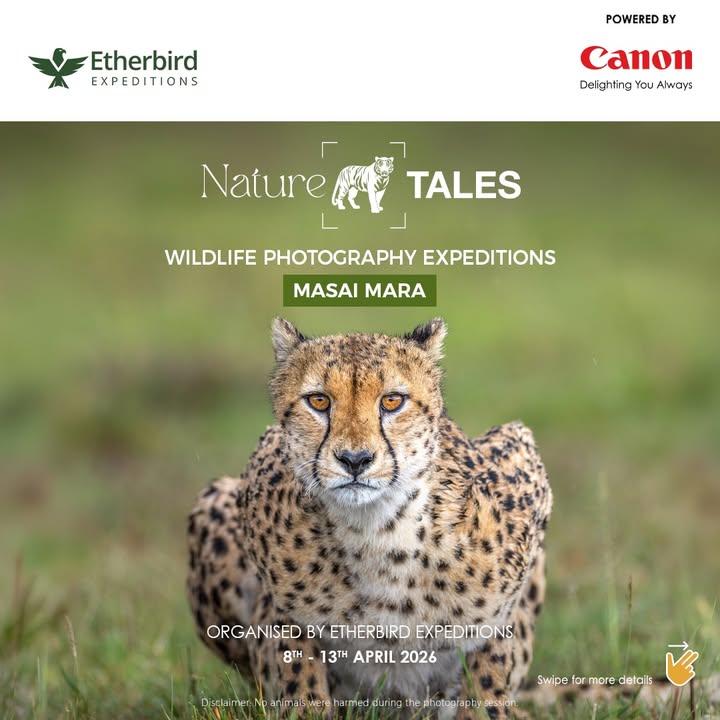 Experience the magic of the Maasai Mara this April with EOS Influencer Ramachandiran Govindaraj