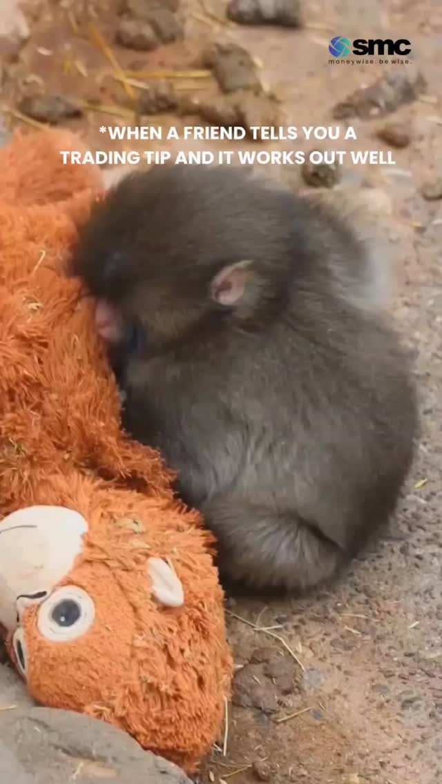 When your friends trust me bro stock tip actually makes money Tag Him Her and let them know the respect you have...