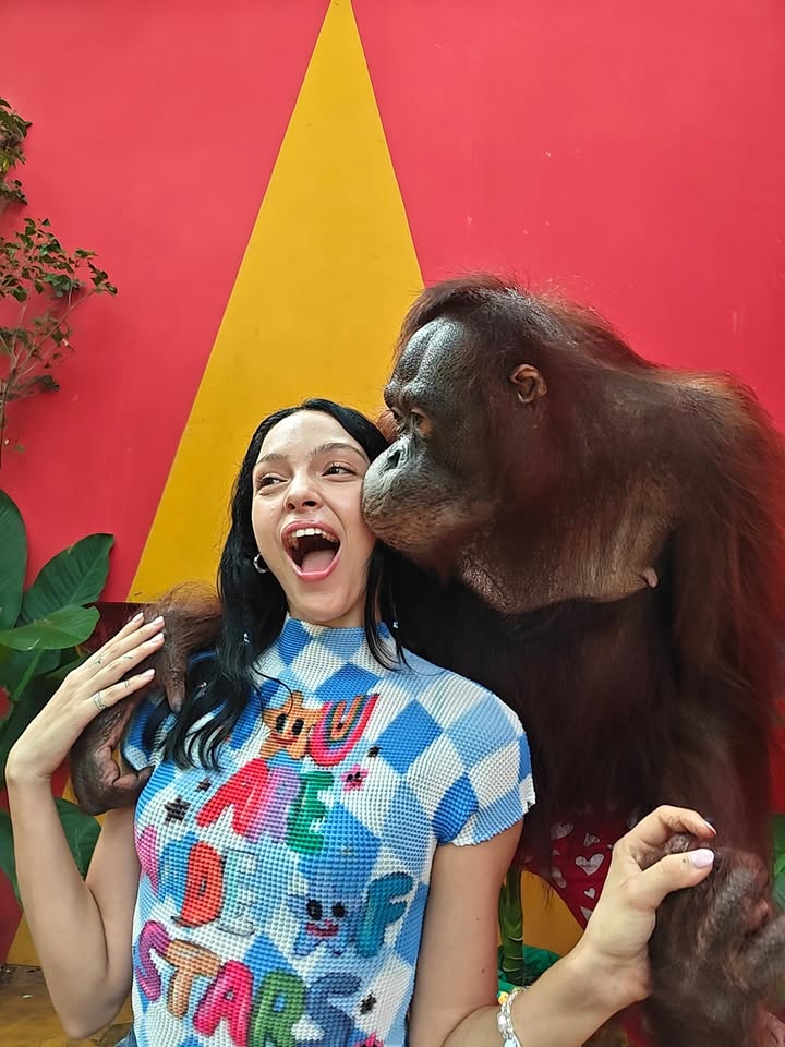 Monkeying around OnePlusNord5 Live Photos make sure no moment slips through the vines. Monkeying around OnePlusNord5 Live Photos make sure no moment slips through the vines.