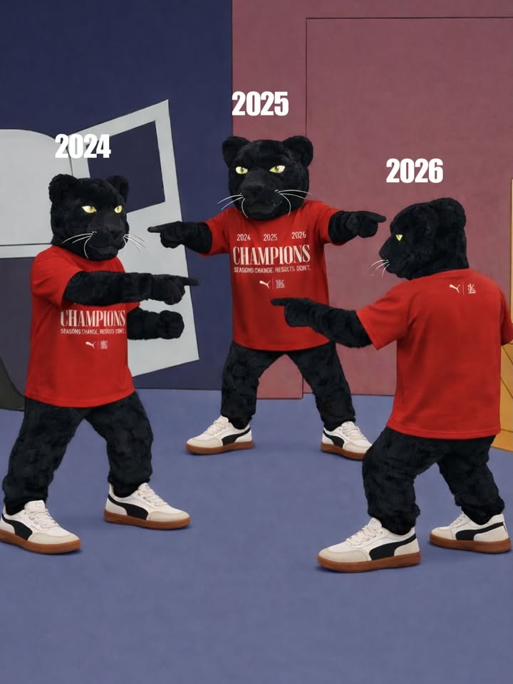 Seasons change, results dont. And the cat doesnt either. royalchallengers