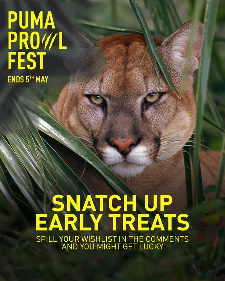 Hunting for the best Prowl Fest deals Look no further