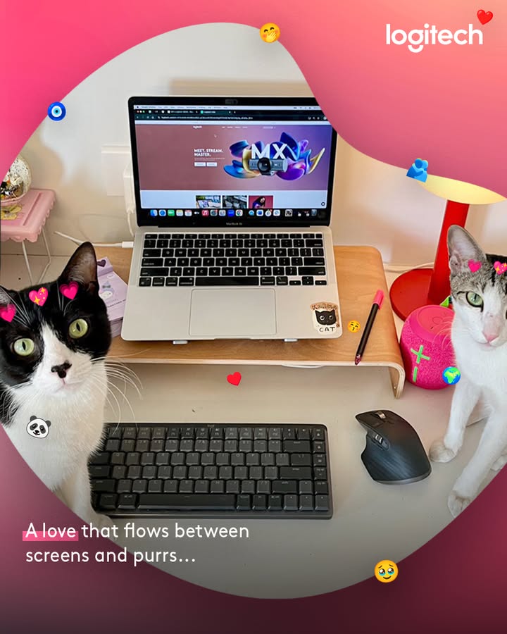 Workdays are sweeter with paws on keyboards and tails in view