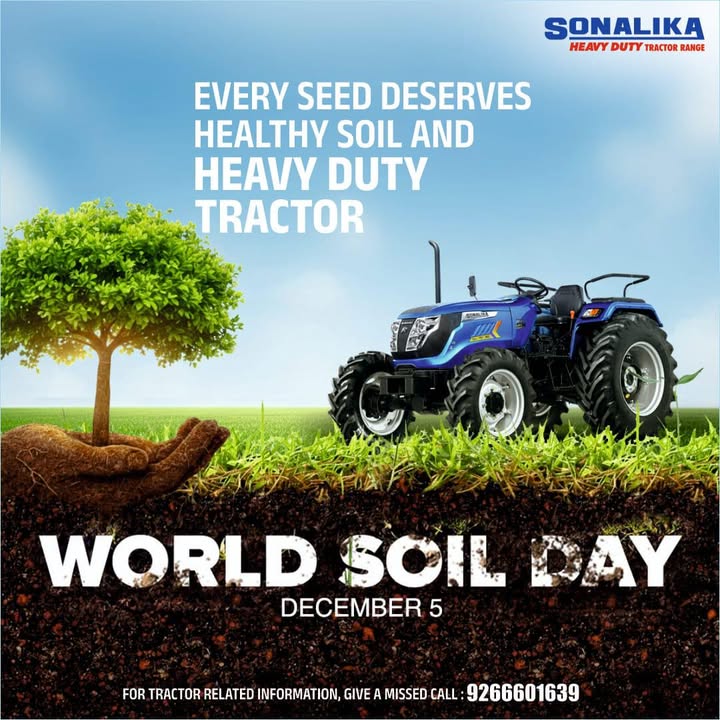 This World Soil Day, celebrate the strength beneath every harvest our soil