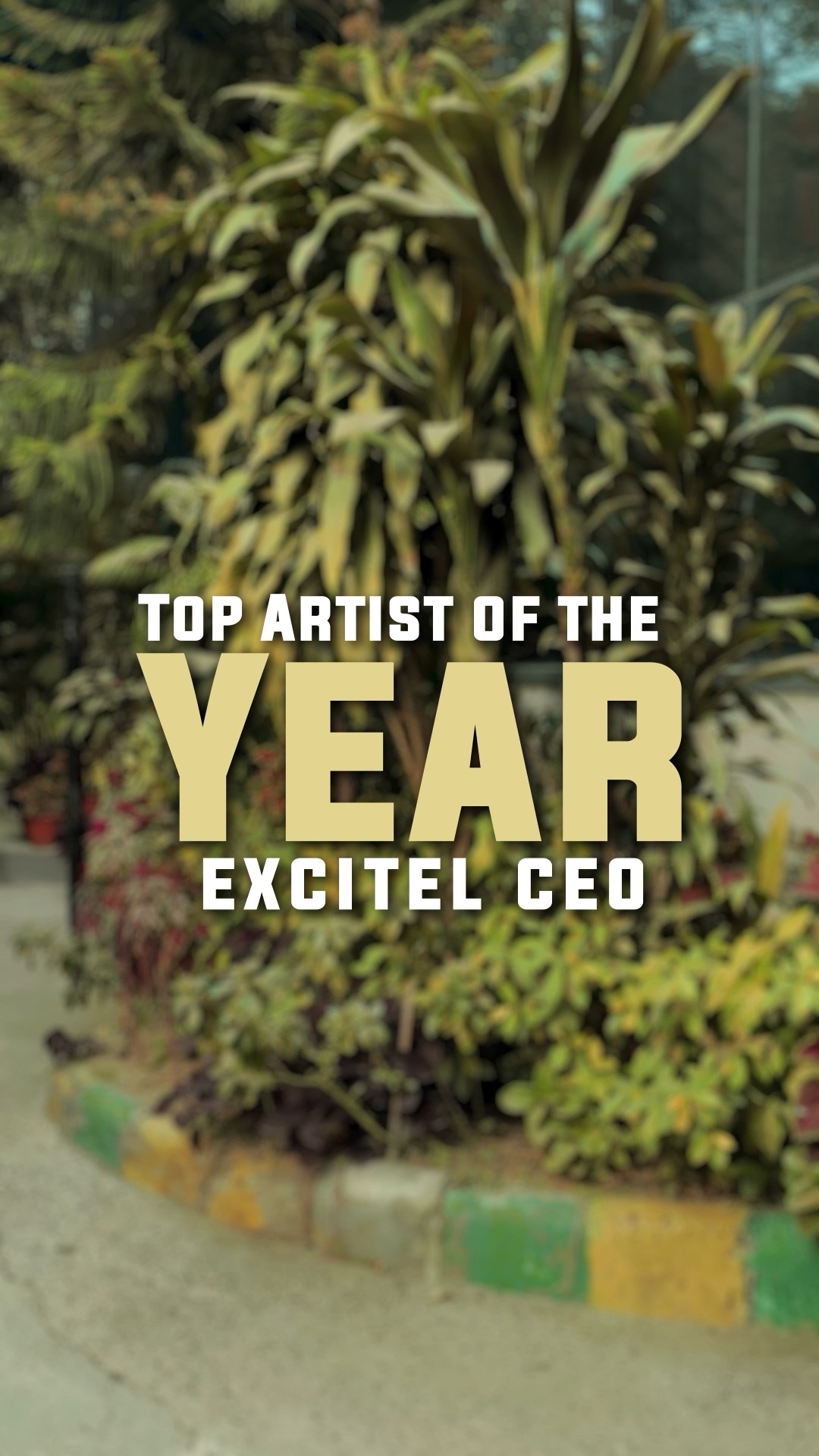 You definitely had that one artist who made your year special, the one who became your personal background score