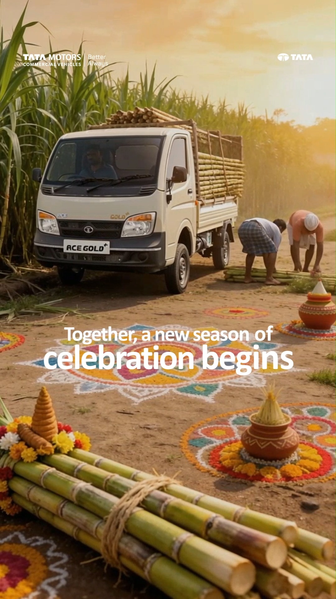 As the harvest is celebrated and the fruits of hard work honoured, take a step towards a stronger year ahead