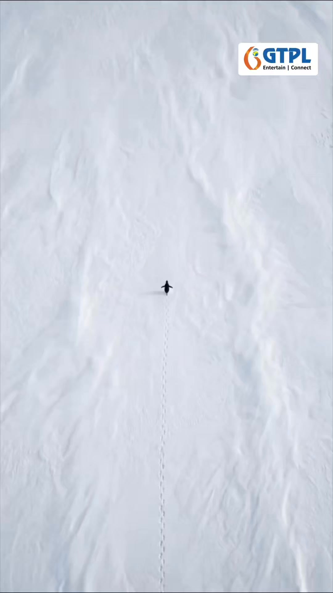 Not lost. Not confused