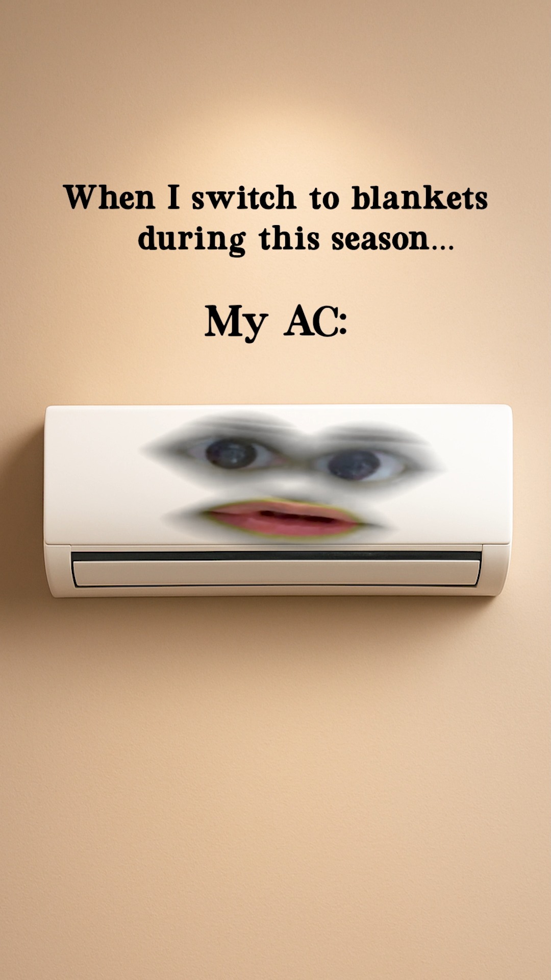 Don t keep your AC hanging. Give it a job to do too Reliance Digital, AC, Winters, Funny 
