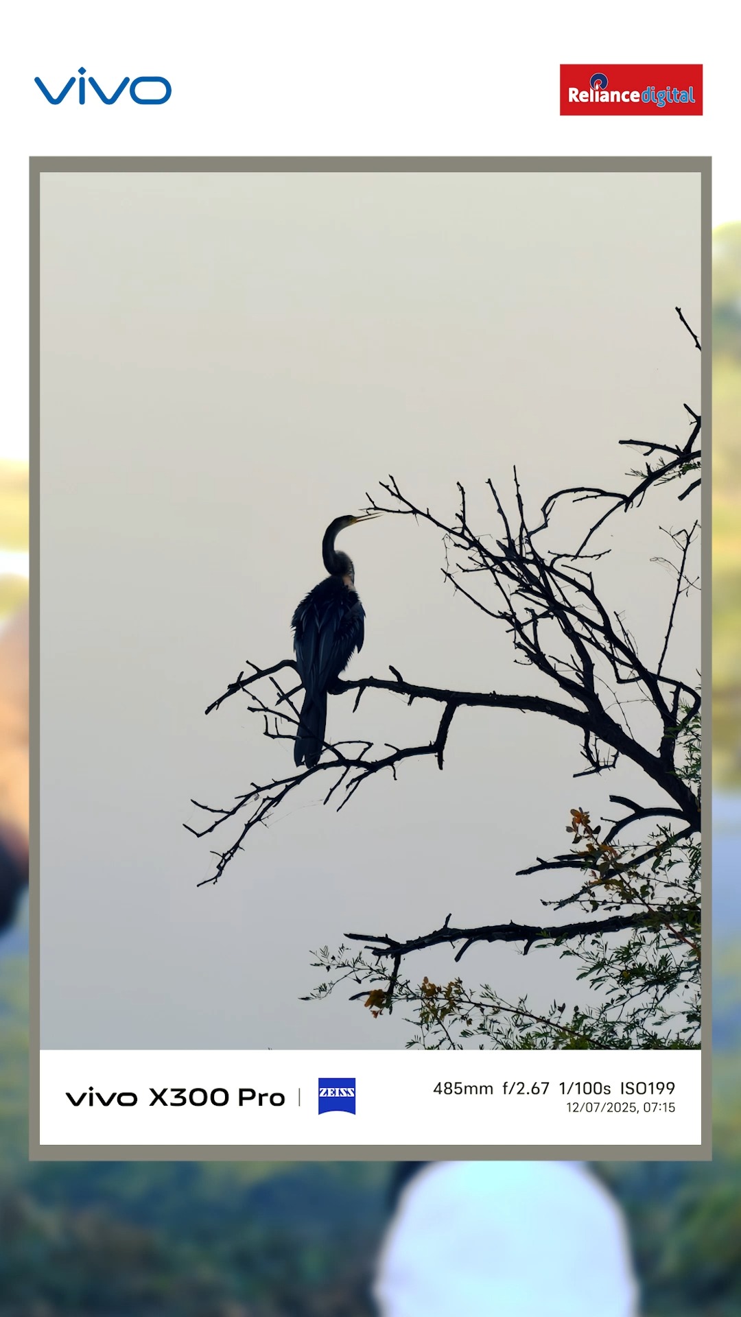 A surreal photography trail by Reliance Digital captured on the vivo X300 Series