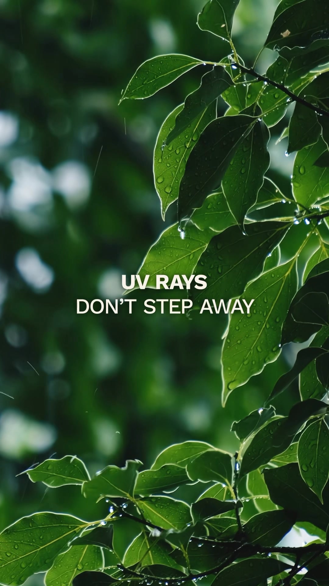 Cloudy skies can be misleading. Even when the sun hides, UV rays dont