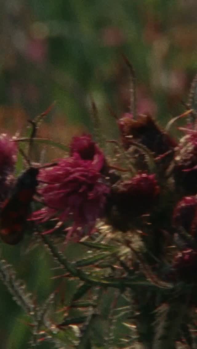 Let your skin bloom with the season