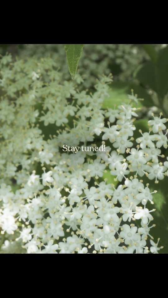 For all the ways she uplifts you, every single day