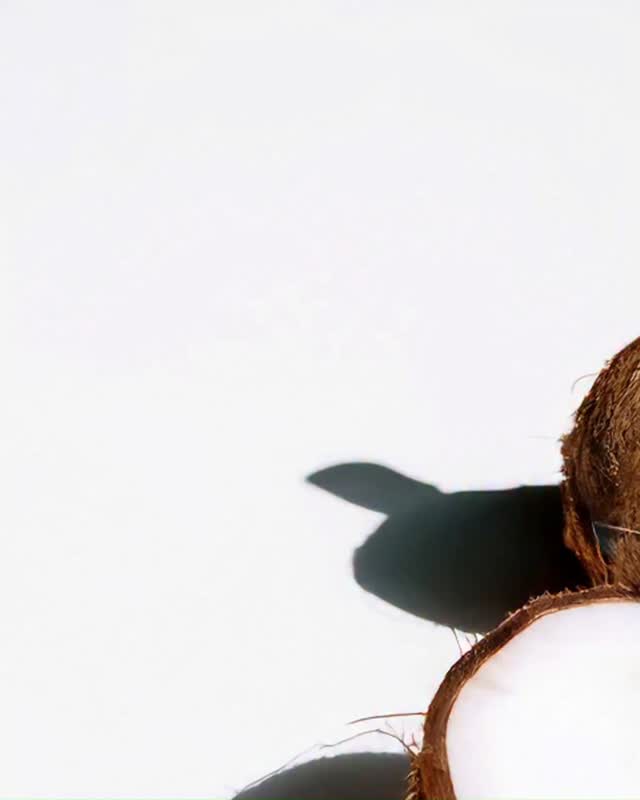 A classic haircare favourite, now even better
