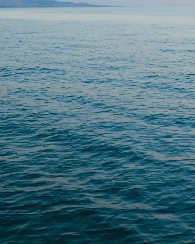 Every piece of plastic has two futures. One ends up in nature. The other gets a second life