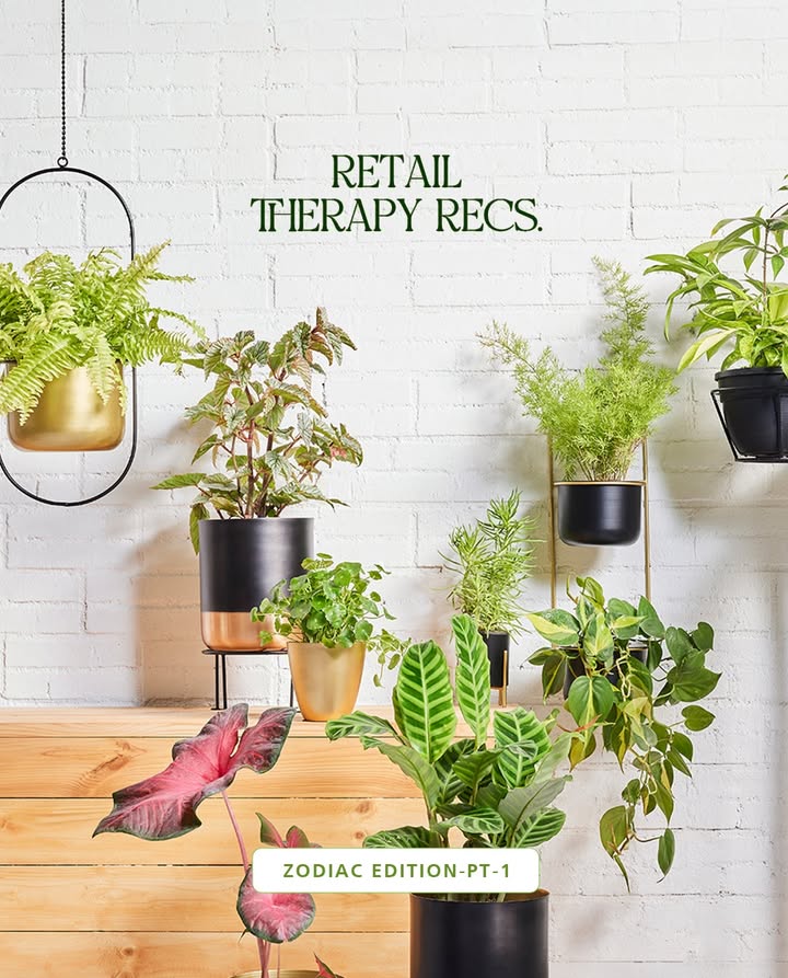 Whatever your sign, this is your sign to GO Shop now at our Ultimate Green Sale https bit.ly 3EVgSFC Homecentre HomecentreIndia UltimateGreenSale Shopping Homeware Furniture Sale Whatever your sign, this is your sign to GO Shop now at our Ultimate Green Sale https bit