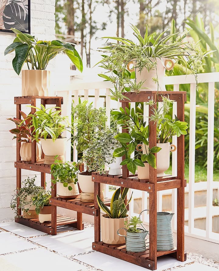 Plant parents, drop a in the comments Homecentre HomecentreIndia Plants Garden Fresh Greenery Summer Plant parents, drop a in the comments Homecentre HomecentreIndia Plants Garden Fresh Greenery Summer