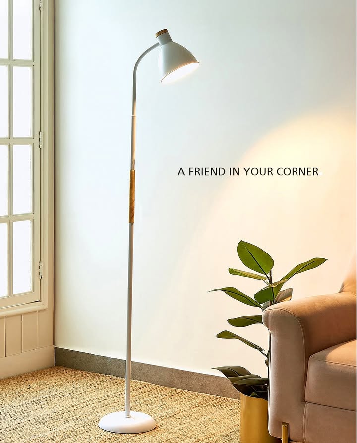 A gentle light when youre finishing just one more chapter. Bring your friend home https homecentre.in in en Homecentre HomecentreIndia FloorLamp Study Reading Relax A gentle light when youre finishing just one more chapter. Bring your friend home https homecentre