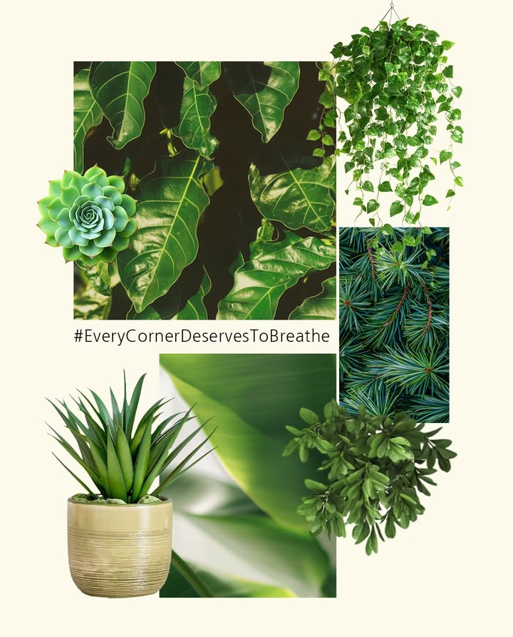 Mid week blues Not when your home screams green EveryCornerDeservesToBreathe Homecentre HomecentreIndia LetsGarden NurturingGreens Plant Moodboard Mid week blues Not when your home screams green EveryCornerDeservesToBreathe Homecentre HomecentreIndia LetsGarden ...