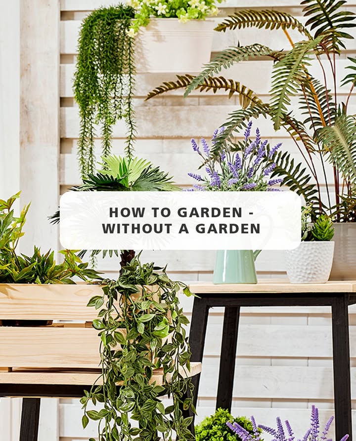 No balcony No backyard No problem. You dont need a garden to get growing just a corner, a shelf, or even a windowsill. Heres how to let the green in, wherever you are No balcony No backyard No problem. You dont need a garden to get growing just a corner, a shelf, or even a windowsill