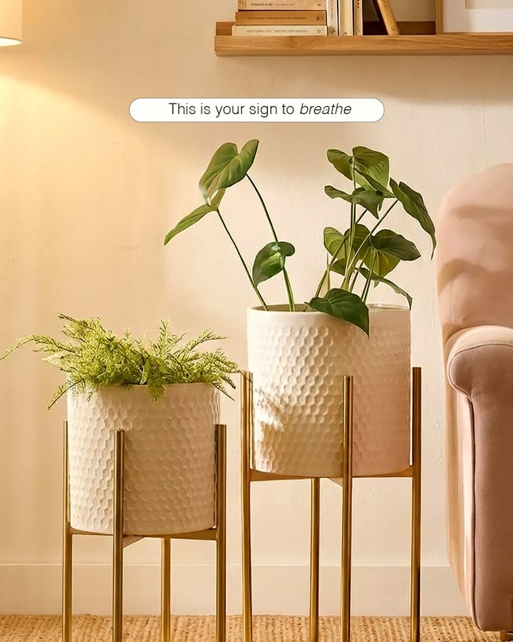 Take a moment to pause and breathe. Homecentre, Homecentre India, Breathe, Calm Greens, Planters, Earthy Aesthetic 