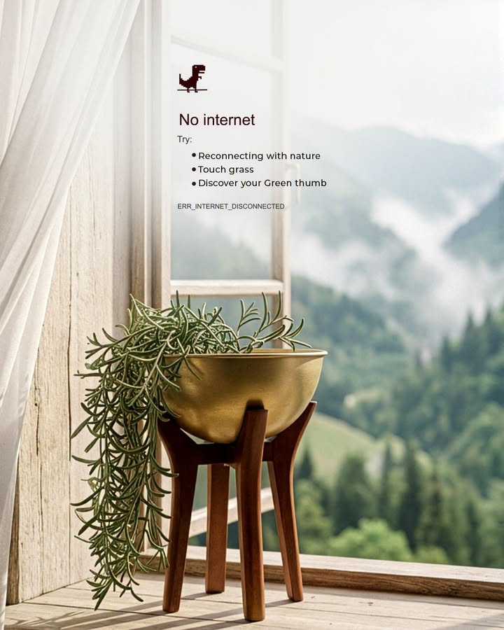 Sun is out, just in time for your connection with the nature to emerge Homencentre, Homecentre India, Weekend Greens, ...