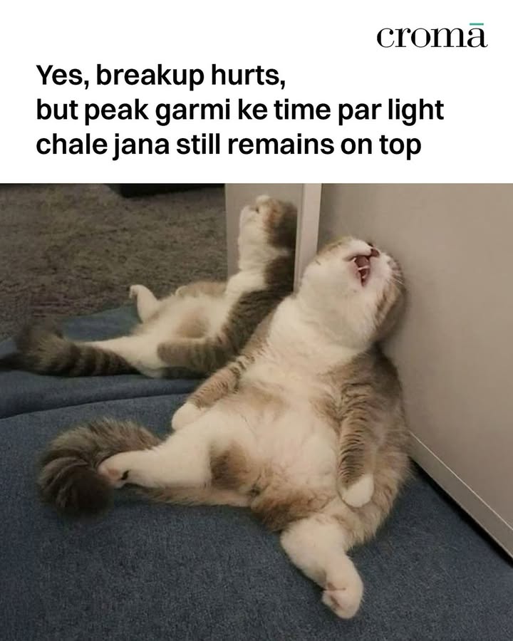 Breakup ke liye playlist hai, iske liye kya breakup, relationships, funny, relatable funnymemes cats croma breakups Breakup ke liye playlist hai, iske liye kya breakup, relationships, funny, relatable funnymemes cats croma br...