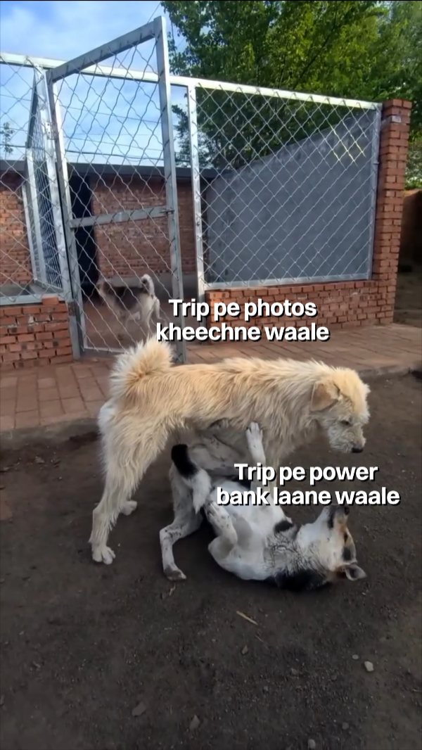Jab tak photos send nahi honge, tab tak dabdaba bana rahega kingcharles alphadog trends croma gadgets electroni...