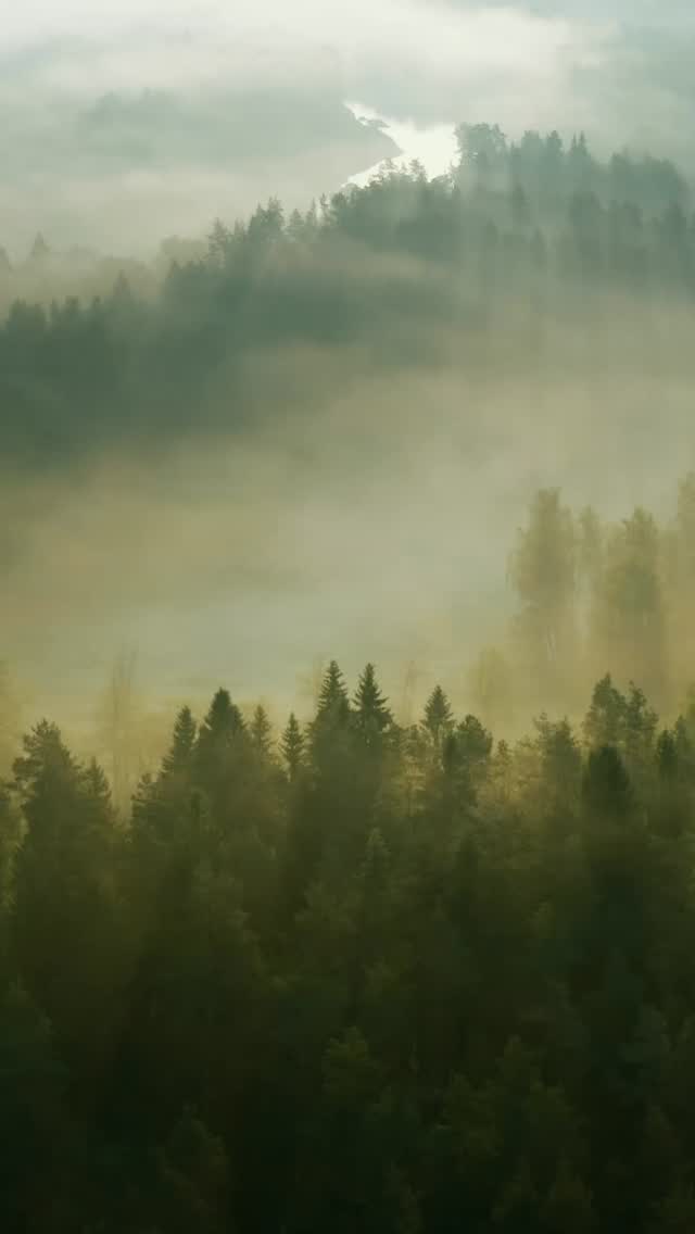 This World Environment Day, lets take a step toward a greener future through mindful, everyday choices