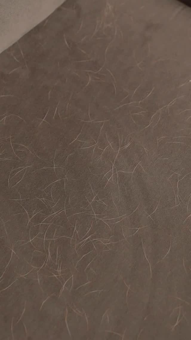 Pet hair all around the house Bosch Unlimited 7 Vacuum Cleaner handles it all pet hair, hidden mess, and everyday dirt...