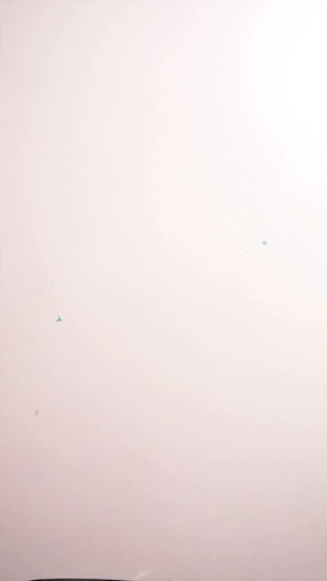 Holiday hosting is fun until you meet the sink. Oily tins, cake knives, gravy vessels, theres always more hiding