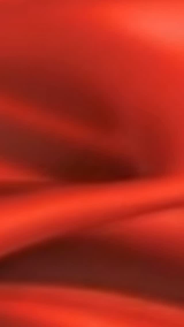 Meet the Bosch PureMixx Plus Series. Designed for kitchens that do more than just mix