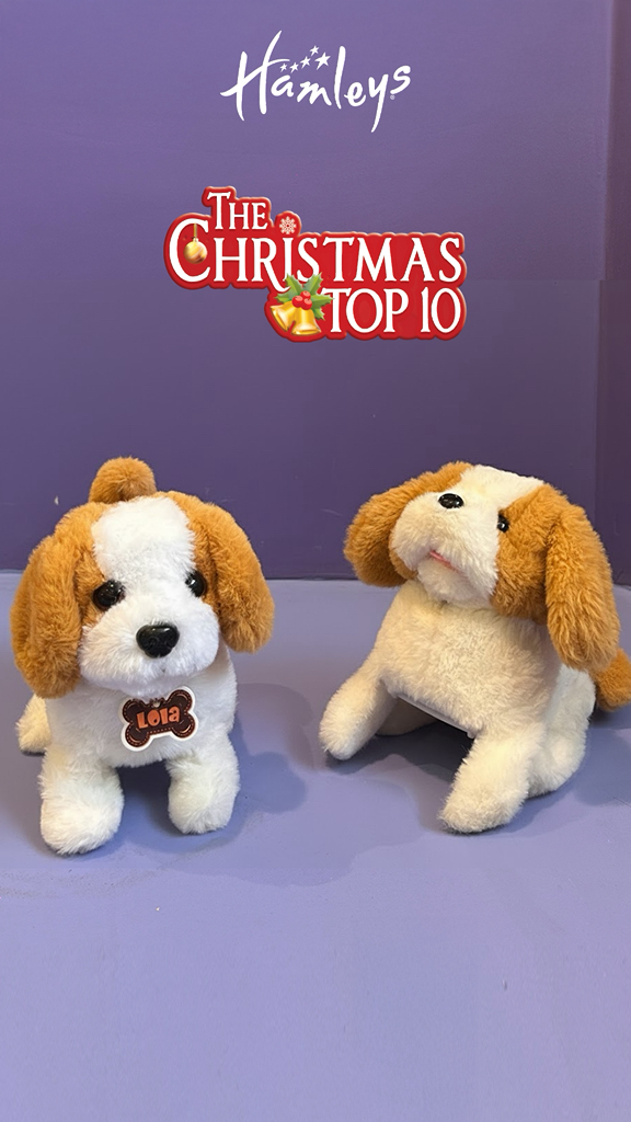 Meet Lolo the Saint Bernard He walks, he barks, and he flips his way straight into hearts