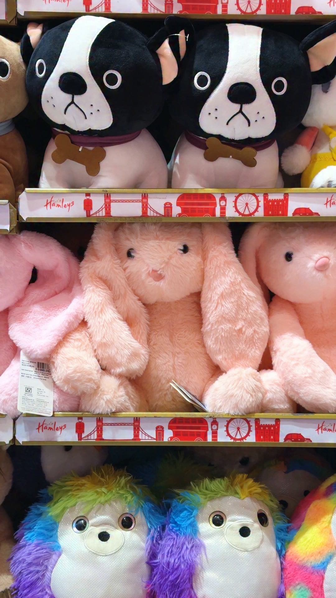 Every toy dreams of its moment. For the smiles, the adventures, and the memories yet to be made