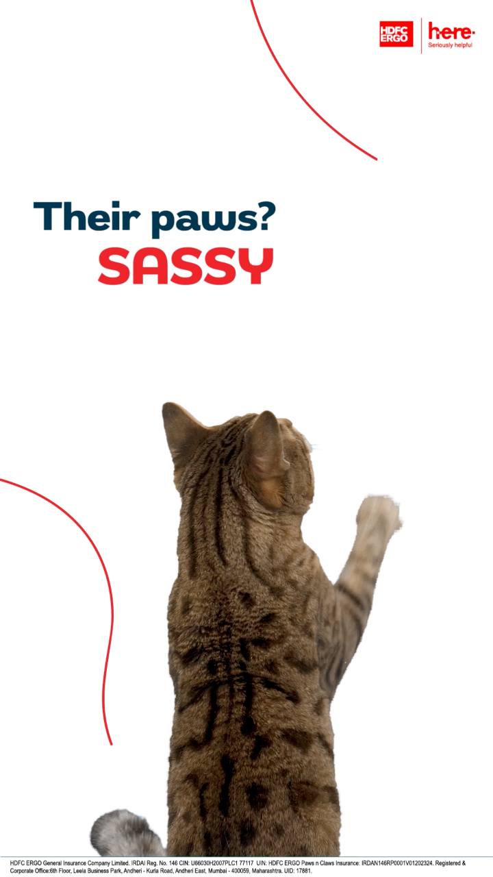 From dramatic stares to peak diva behavior, get purr sonalized protection for your feline friends on the Here App