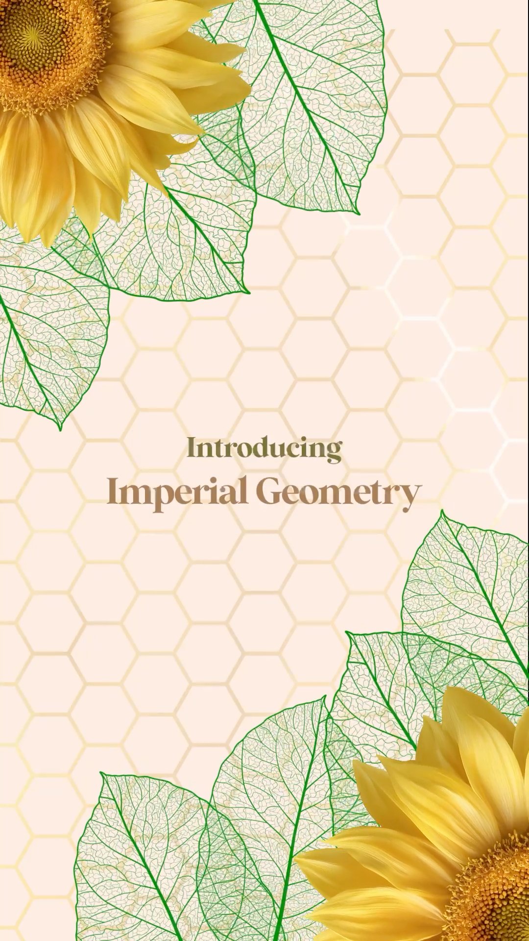 Nature s geometry that moves elegantly with you