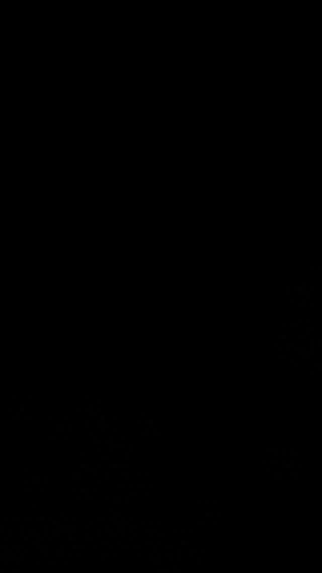 Dawn. Riders. Traditions. Magic