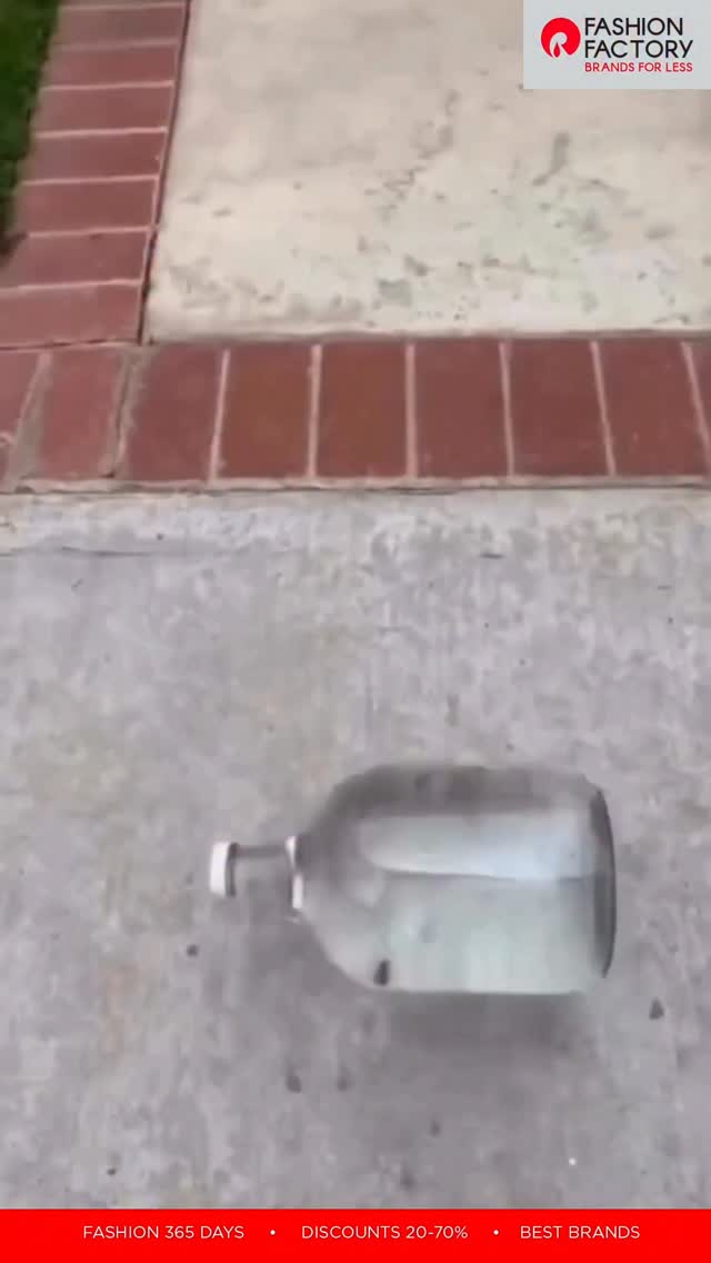 Ready for the ultimate shopping hack Shop branded apparel worth 5000 MRP, pay only 2000, and get that amount ...