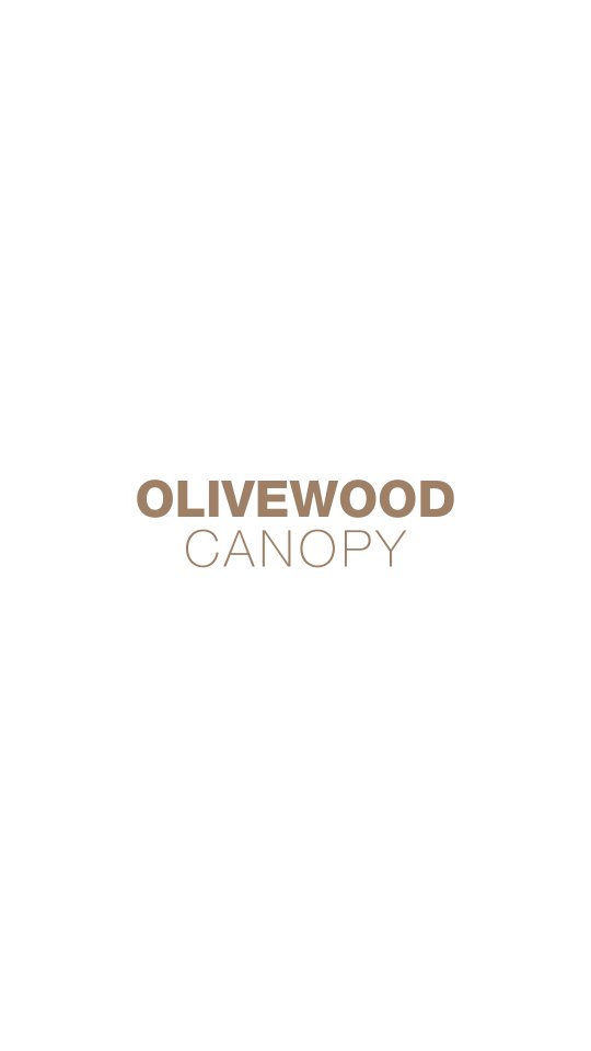 Where grounded meets refined. Olive Wood Canopy is crafted for men who carry quiet confidence in every shade
