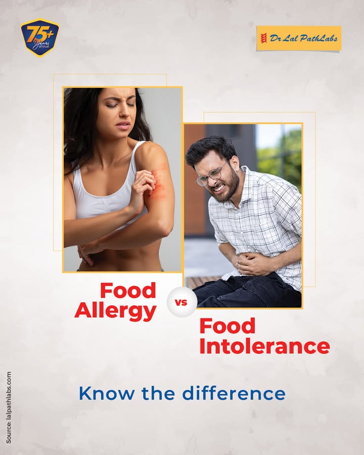 Is your body reacting to food Discover if it s an allergy or an intolerance with our quick guide. Proper testing leads to the right solutions Is your body reacting to food Discover if it s an allergy or an intolerance with our quick guide