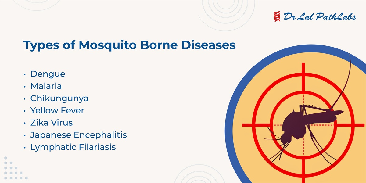 Mosquito borne diseases like dengue, malaria, chikungunya, and Japanese encephalitis become more prevalent during the monsoon season. These illnesses can lead to serious complications if not diagnosed and treated promptly. Read the blog https bit Mosquito borne diseases like dengue, malaria, chikungunya, and Japanese encephalitis become more prevalent during the monsoo...