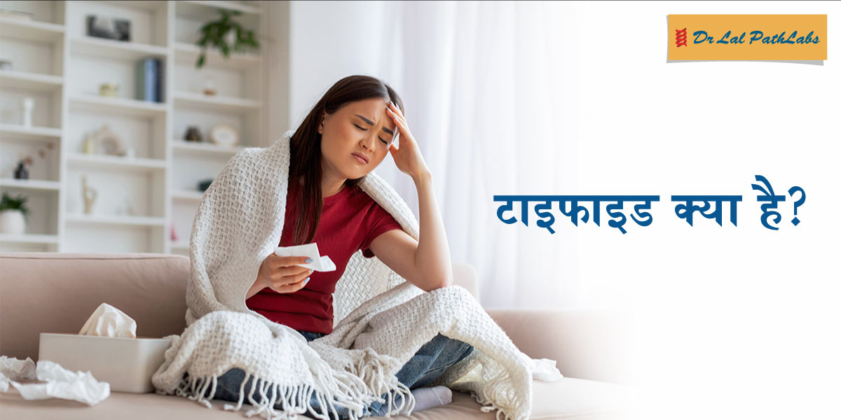 Salmonella Typhi , ...  Salmonella Typhi ...