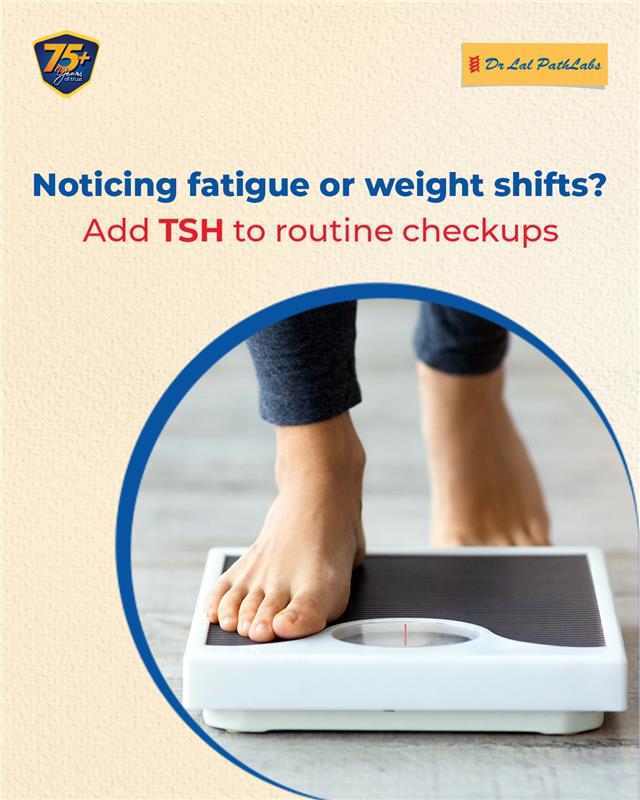 TSH testing helps assess thyroid function and detect imbalances early