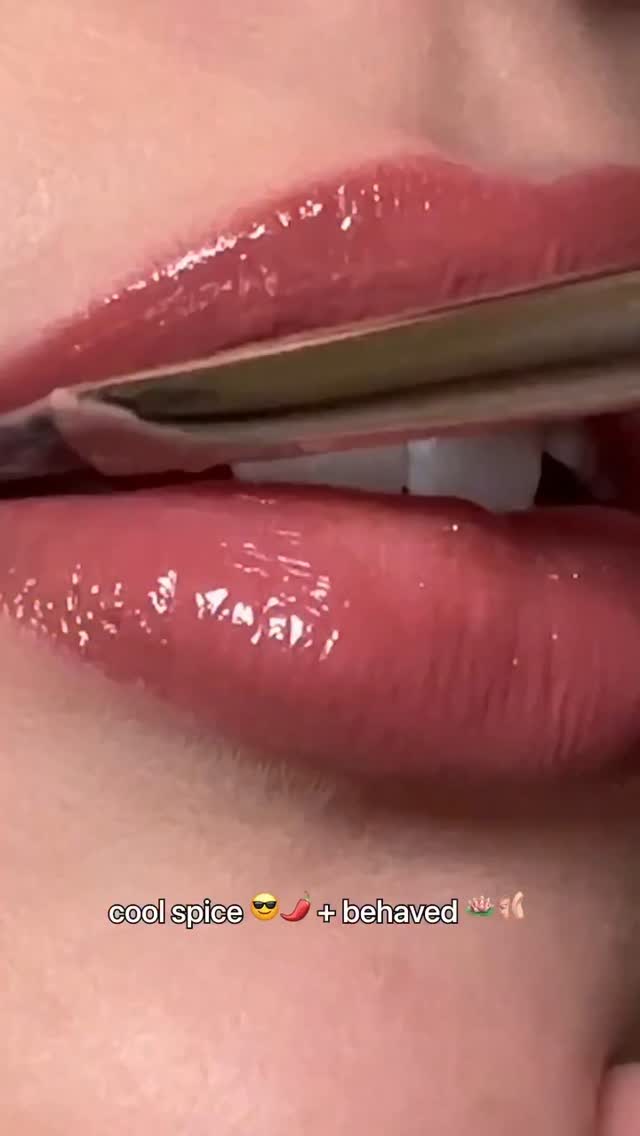 Whats the best lip combo youve ever created with Cool Spice Well go first Lip Pencil in Cool Spice Lipgla...