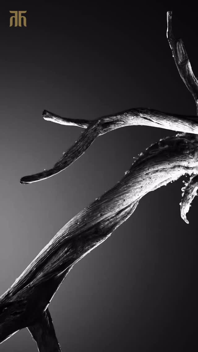 Inspired by the intricate beauty of nature, from delicate leaves and blooming flowers to flowing vines, Tasvas Tree of Life ...