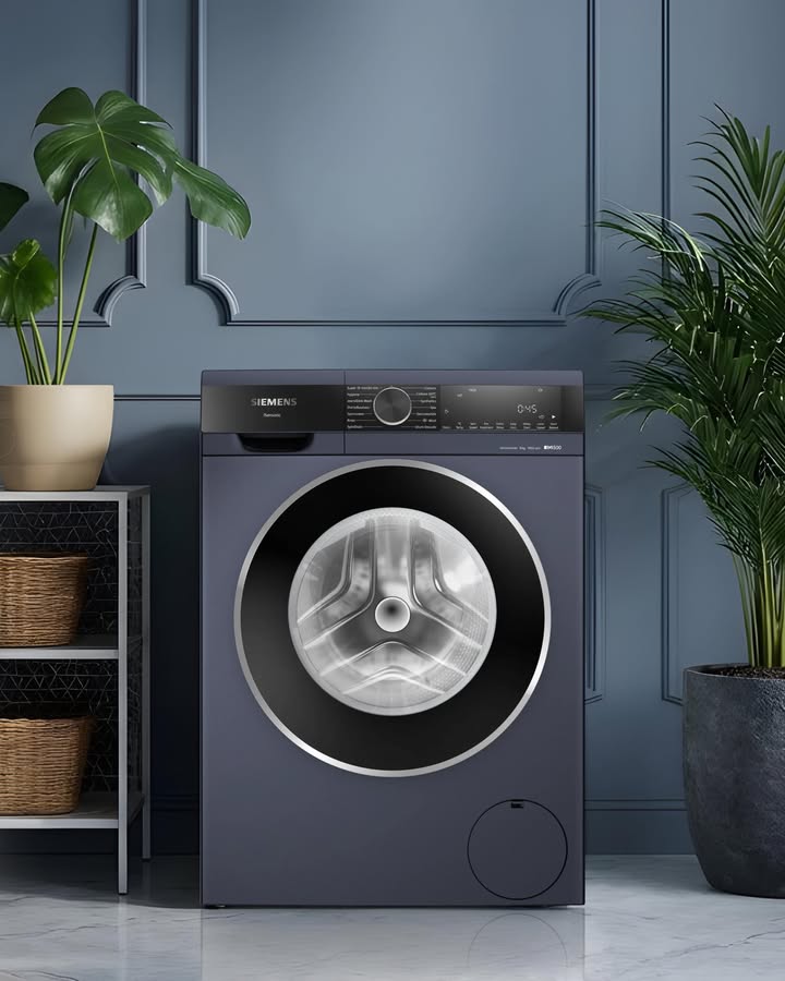 In a space where design speaks softly yet powerfully, every element matters