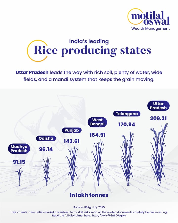 In 2025, Indias rice production is about tradition, innovation, and regional strengths