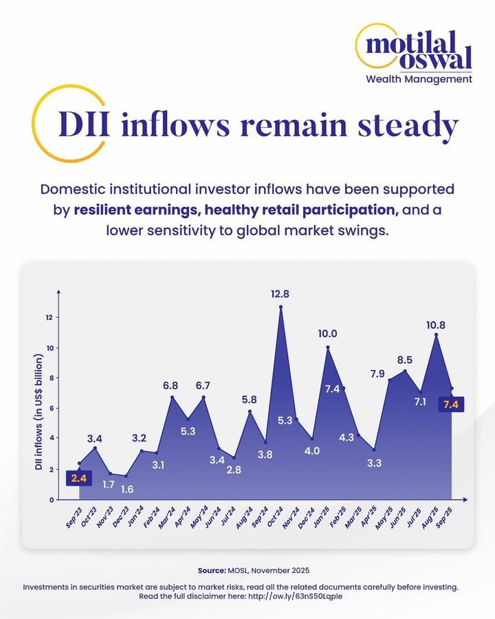 For nearly two years, DIIs have quietly been the markets anchor