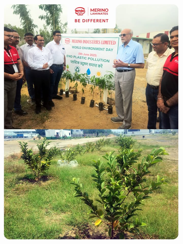  At Merino Industries Ltd., sustainability isnt just a day its our way forward