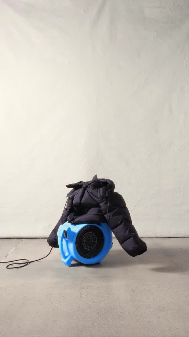 Big puffer fans over here.