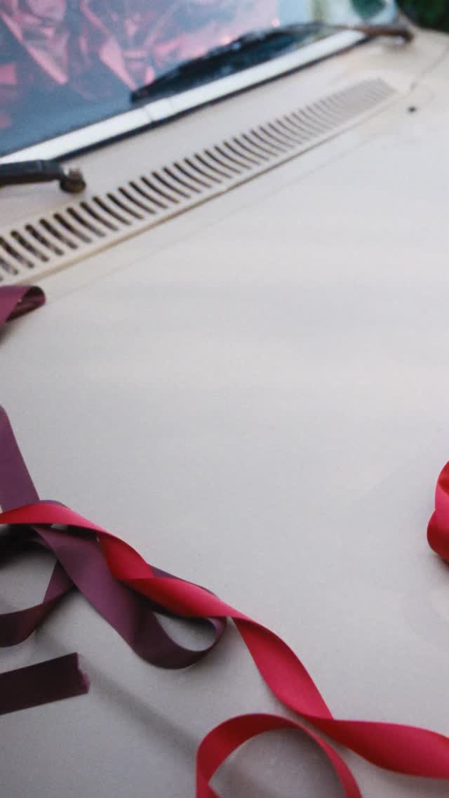 Your holiday hauls going to get bigger. Good thing Baggys up for any occasion.