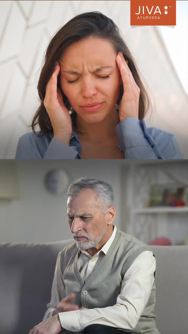  Hisar Jiva Ayurveda ...